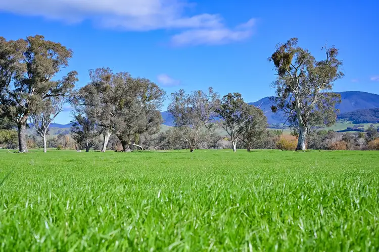 Second view of Homely rural property listing, Gundowring Road, Gundowring VIC 3691