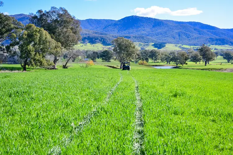 Third view of Homely rural property listing, Gundowring Road, Gundowring VIC 3691