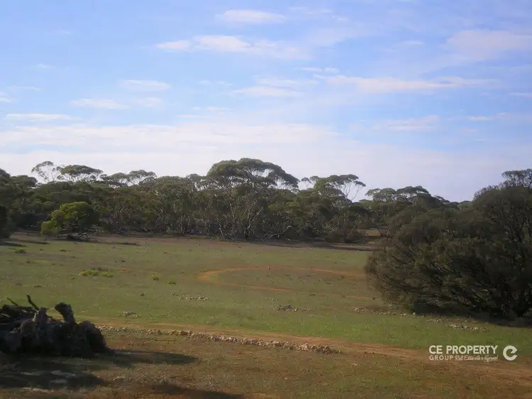 Main view of Homely rural property listing, 19 Goondooloo Road, Bowhill SA 5238
