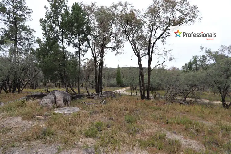 Second view of Homely land listing, Lot 7 Wallangra Road, Wallangra NSW 2360