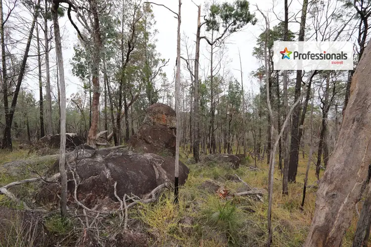 Third view of Homely land listing, Lot 7 Wallangra Road, Wallangra NSW 2360