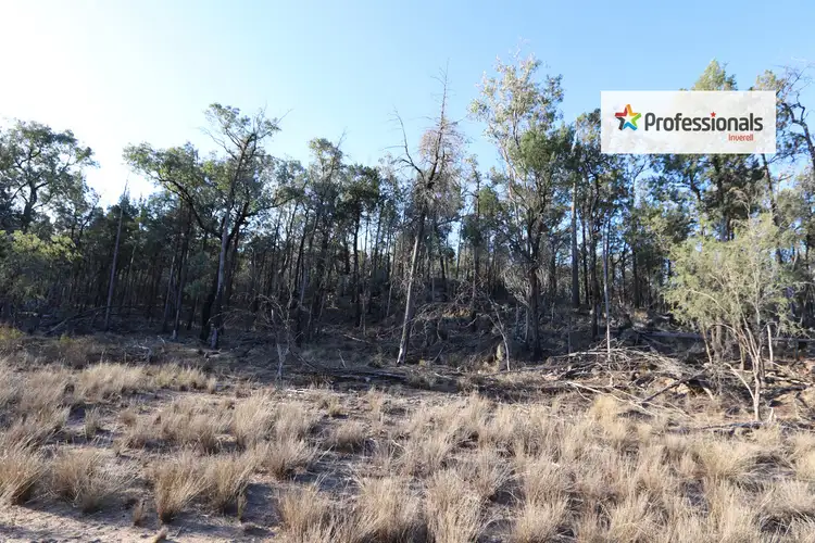 Fourth view of Homely land listing, Lot 7 Wallangra Road, Wallangra NSW 2360