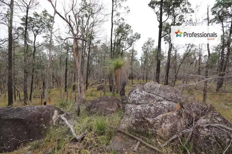 Fifth view of Homely land listing, Lot 7 Wallangra Road, Wallangra NSW 2360