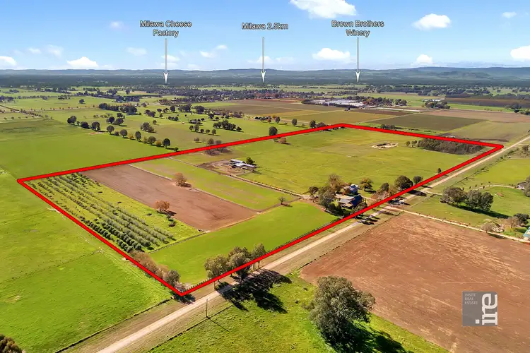 Main view of Homely house listing, 255 Colemans Lane, Milawa VIC 3678