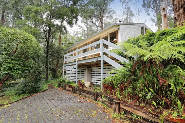 Main view of Homely house listing, 3 Peters Road, Belgrave VIC 3160