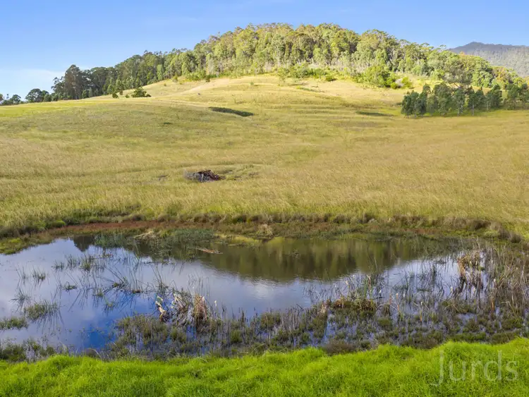 Seventh view of Homely rural property listing, 140 Mount Vincent Road, Mulbring NSW 2323