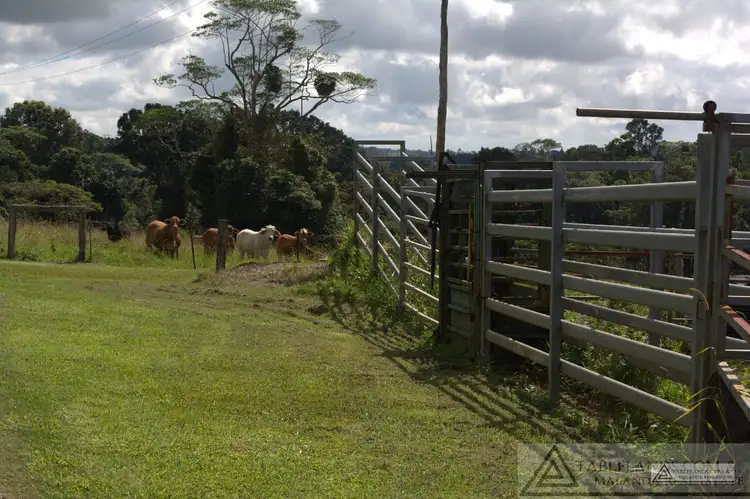 Sixth view of Homely rural property listing, Address available on request