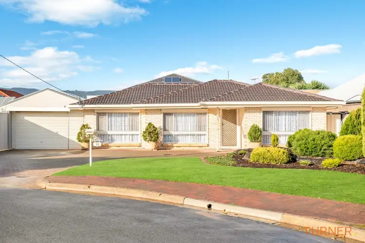 Main view of Homely house listing, 13 Heggaton Terrace, Newton SA 5074