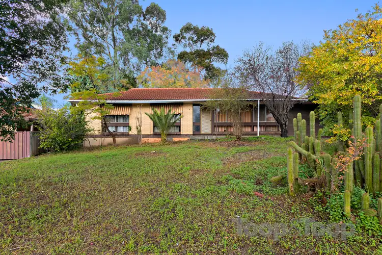 11 Newcombe Drive, Gilles Plains SA 5086