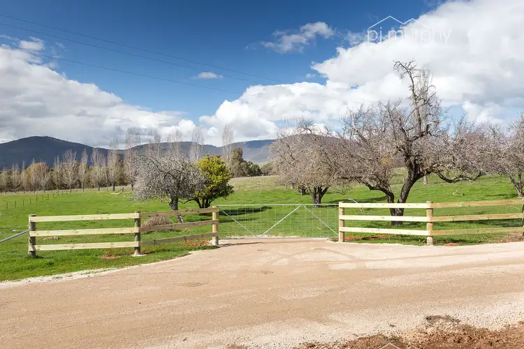 Main view of Homely land listing, LOT 5 Osbornes Flat Road, Yackandandah VIC 3749