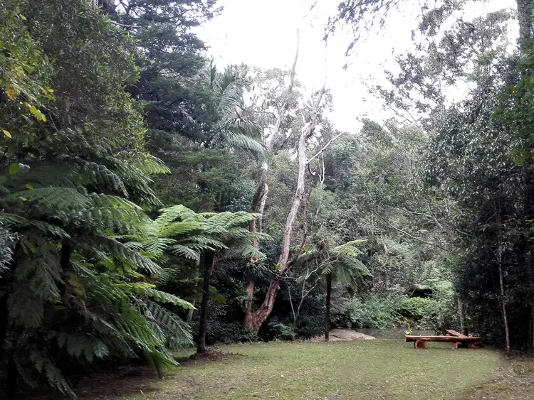 Seventh view of Homely house listing, 5 Lloyds Road, Springbrook QLD 4213