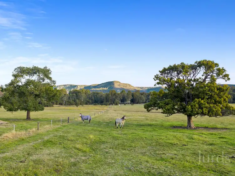 Second view of Homely rural property listing, 76 Wollong Road, Quorrobolong NSW 2325