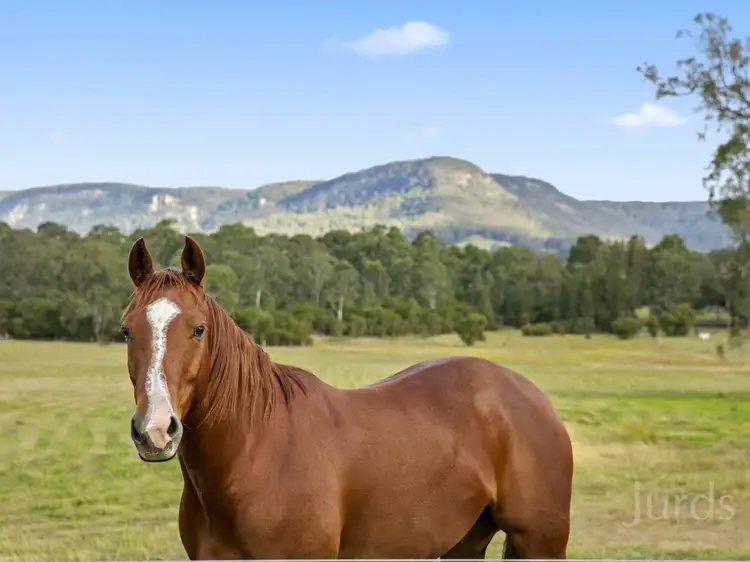 Seventh view of Homely rural property listing, 76 Wollong Road, Quorrobolong NSW 2325