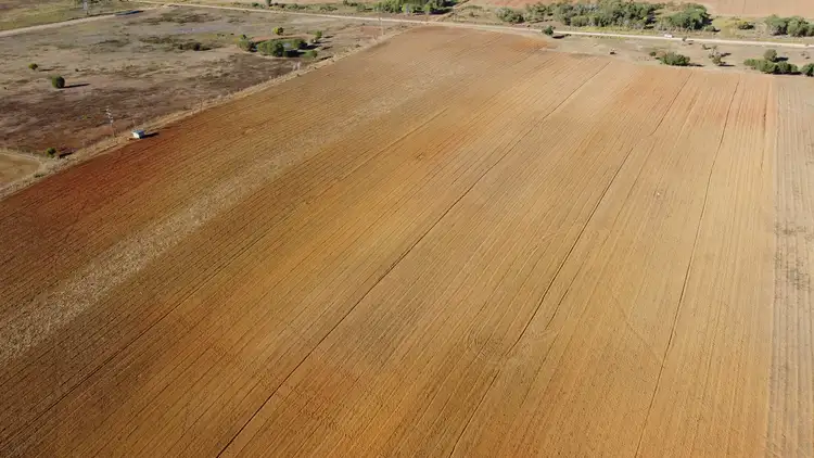 Fifth view of Homely rural property listing, LOT 1-2 South Bucca Road, Bucca QLD 4670
