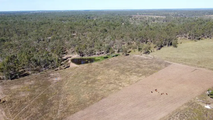 L213 Bucca Road, Bucca QLD 4670