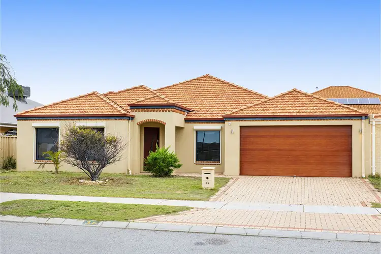 36 Ammanford Crescent, Butler WA 6036