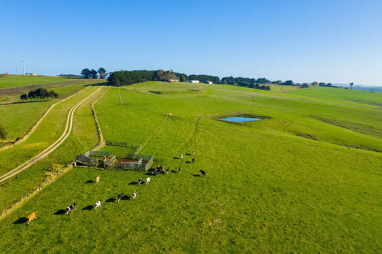 201 Melrose Road, Cooriemungle VIC 3268