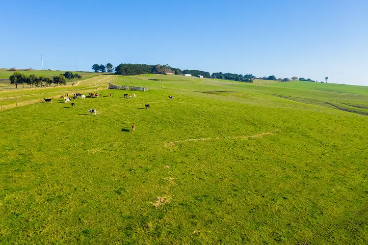 Fifth view of Homely rural property listing, 201 Melrose Road, Cooriemungle VIC 3268