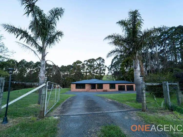 Main view of Homely house listing, 41 Little Village Lane, Somerset TAS 7322