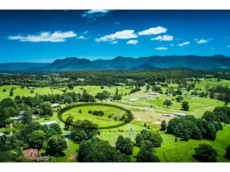 Third view of Homely land listing, 20 McLean Drive, Bellingen NSW 2454