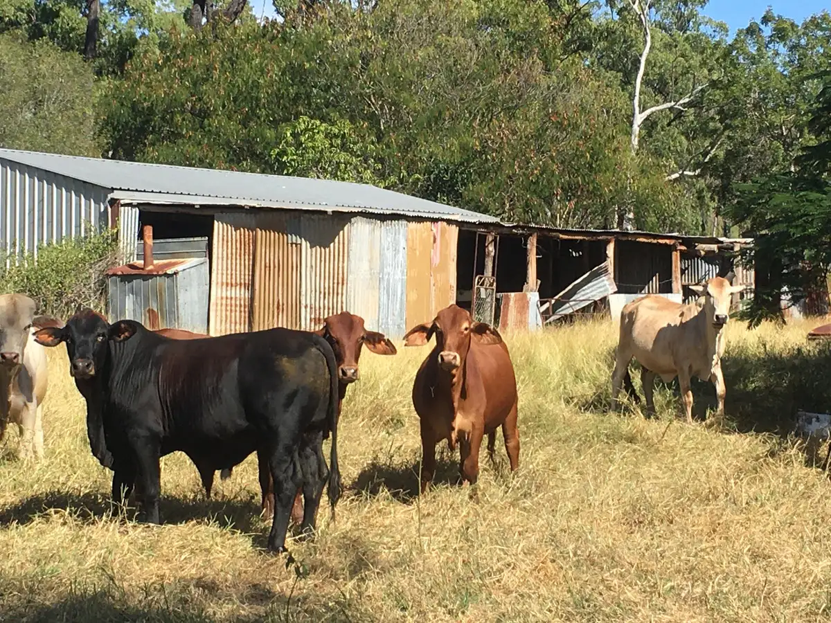 Main view of Homely land listing, 1647 Atkinson Road "HIDDEN VALLEY", Canoona QLD 4702