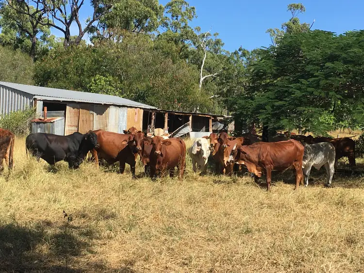Third view of Homely land listing, 1647 Atkinson Road "HIDDEN VALLEY", Canoona QLD 4702