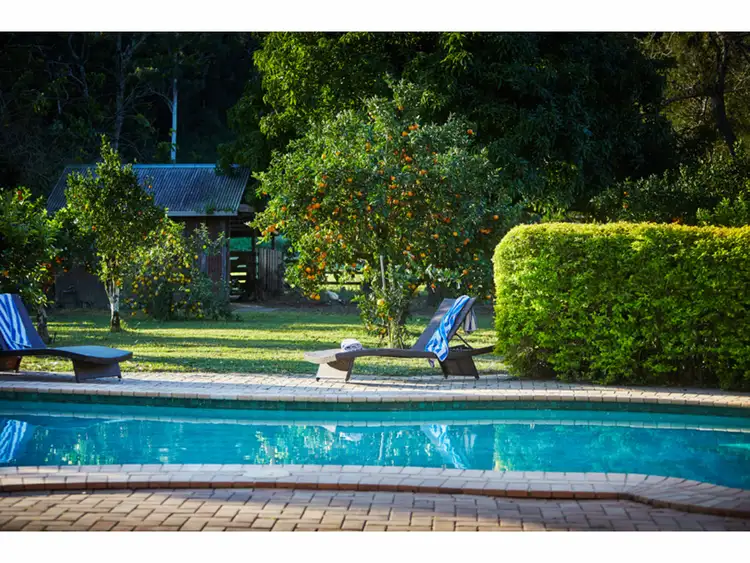 Second view of Homely rural property listing, 399 Summervilles Road, Bellingen NSW 2454