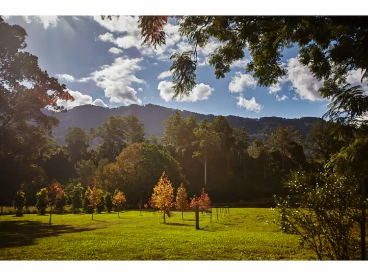 Third view of Homely rural property listing, 399 Summervilles Road, Bellingen NSW 2454