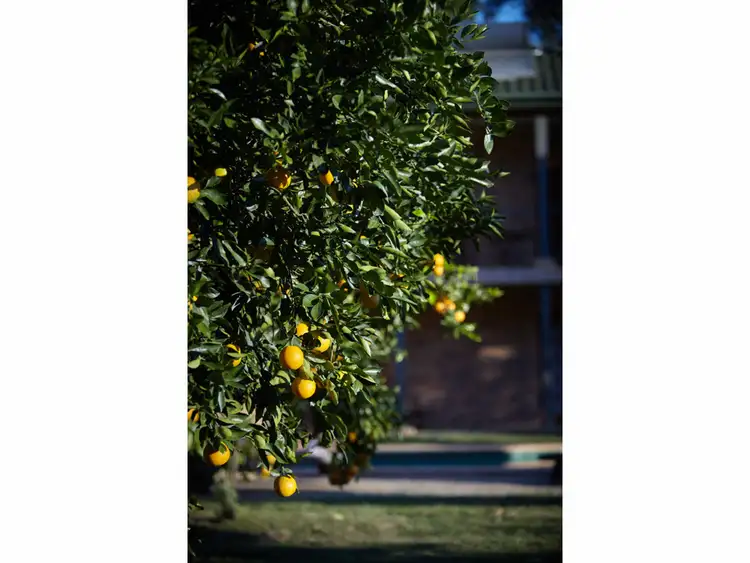Sixth view of Homely rural property listing, 399 Summervilles Road, Bellingen NSW 2454