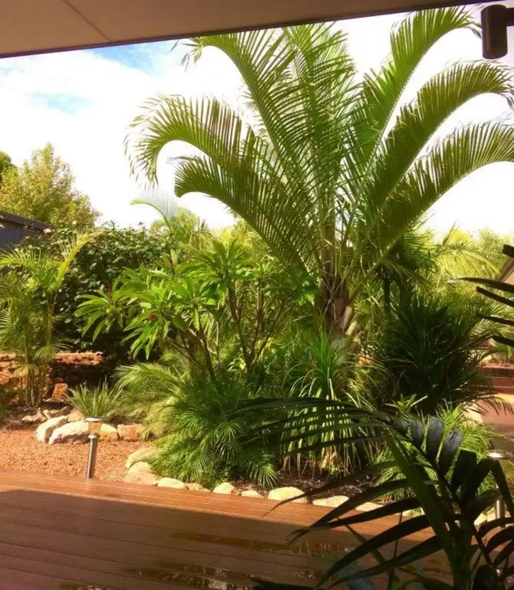 Fifth view of Homely house listing, 15 Observation Circle, Bedfordale WA 6112