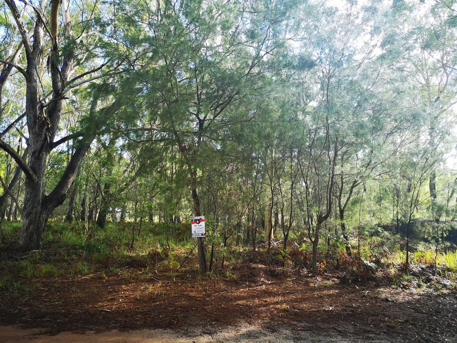 Main view of Homely land listing, 19 Loftus Crs, Russell Island QLD 4184