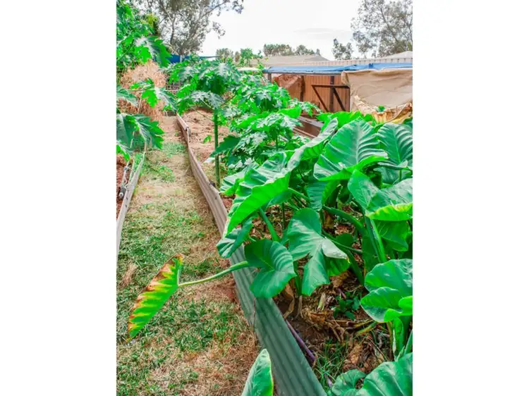 23 Acacia Way, South Hedland WA 6722