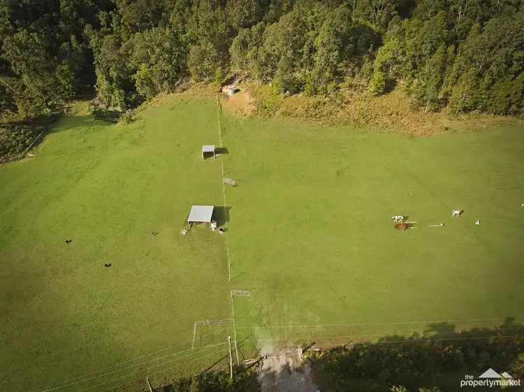Fourth view of Homely land listing, 1765 Yarramalong Road, Yarramalong NSW 2259
