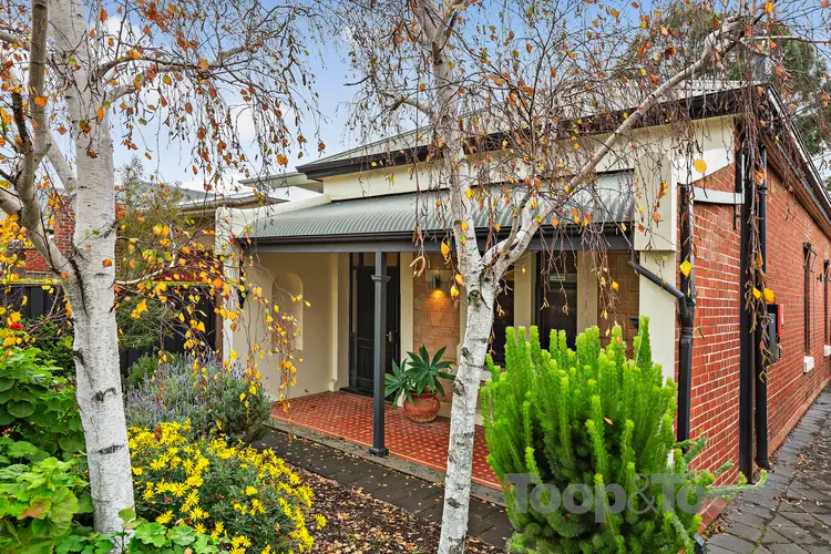 30 Townsend Street, Parkside SA 5063