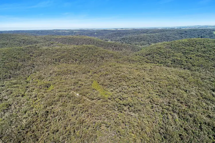 602 Devondale Road, Chapple Vale VIC 3239