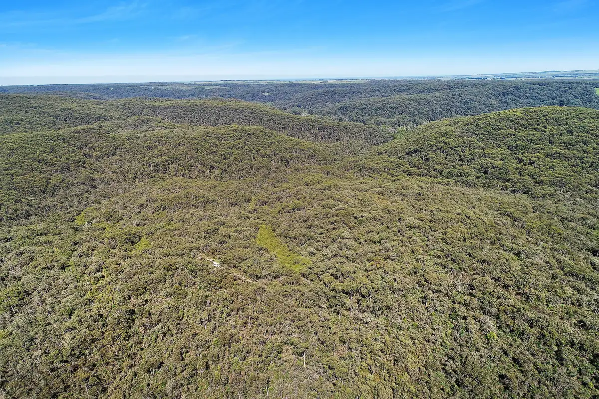 Main view of Homely rural property listing, 602 Devondale Road, Chapple Vale VIC 3239