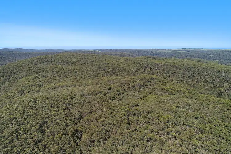 Second view of Homely rural property listing, 602 Devondale Road, Chapple Vale VIC 3239