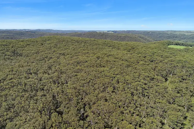 Third view of Homely rural property listing, 602 Devondale Road, Chapple Vale VIC 3239