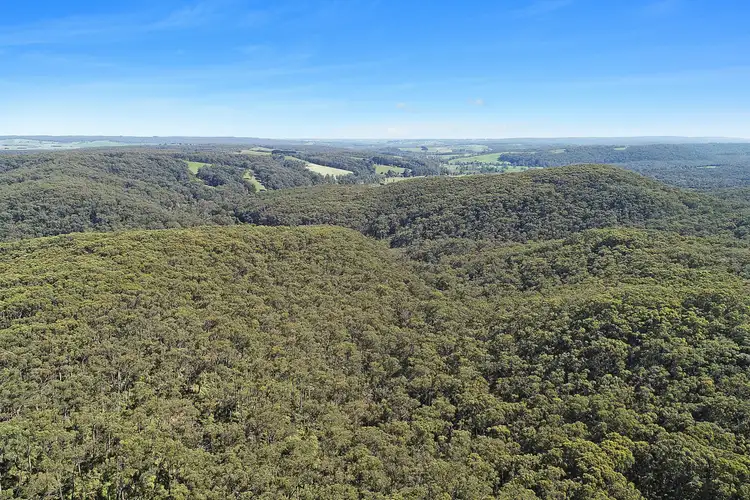 Fourth view of Homely rural property listing, 602 Devondale Road, Chapple Vale VIC 3239