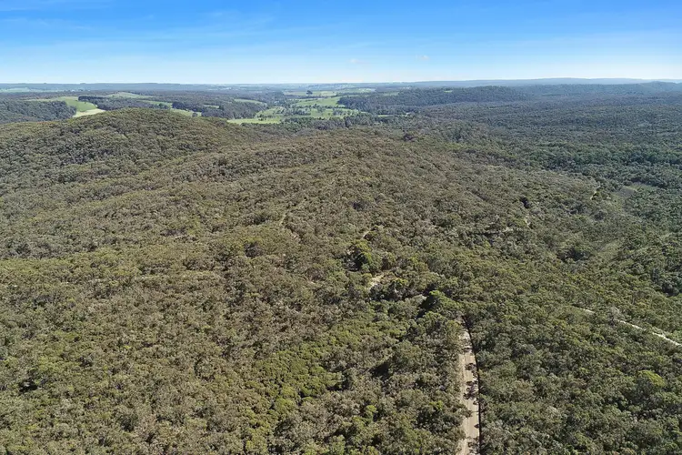 Sixth view of Homely rural property listing, 602 Devondale Road, Chapple Vale VIC 3239