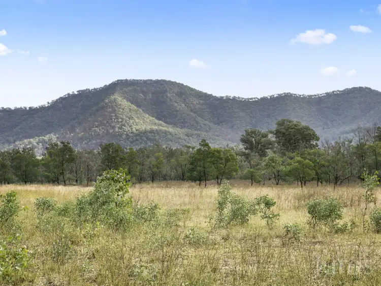 Main view of Homely rural property listing, 156 Wollombi Road, Broke NSW 2330