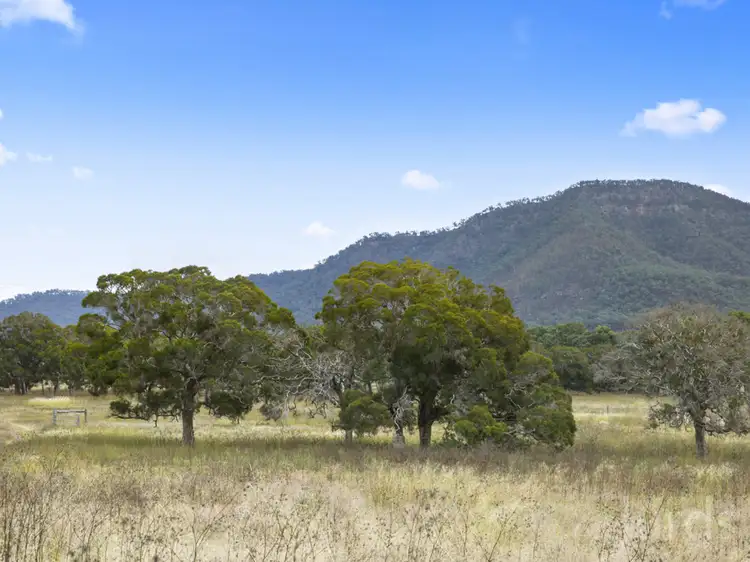Seventh view of Homely rural property listing, 156 Wollombi Road, Broke NSW 2330