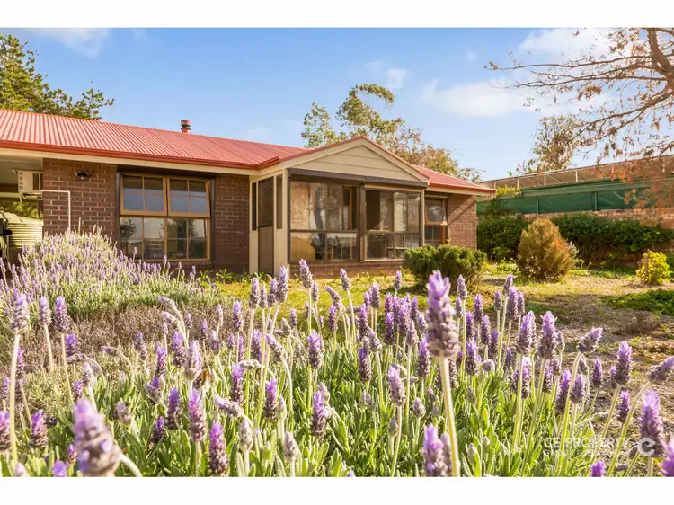 Second view of Homely house listing, 9 Randall Street, Mannum SA 5238