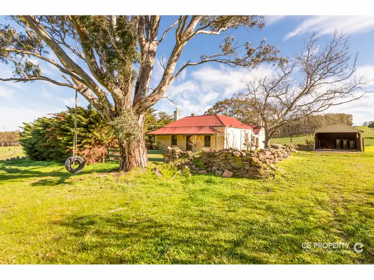 Main view of Homely rural property listing, 224 Burns Road, Mount Pleasant SA 5235