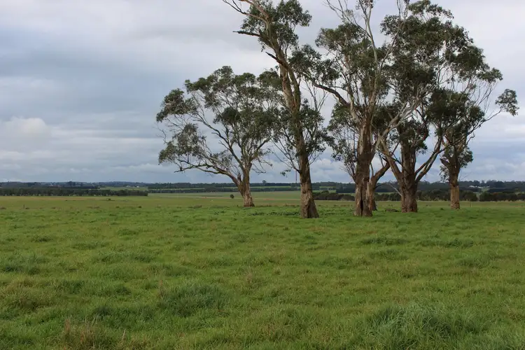 280 Crabbes Road, Irrewillipe VIC 3249