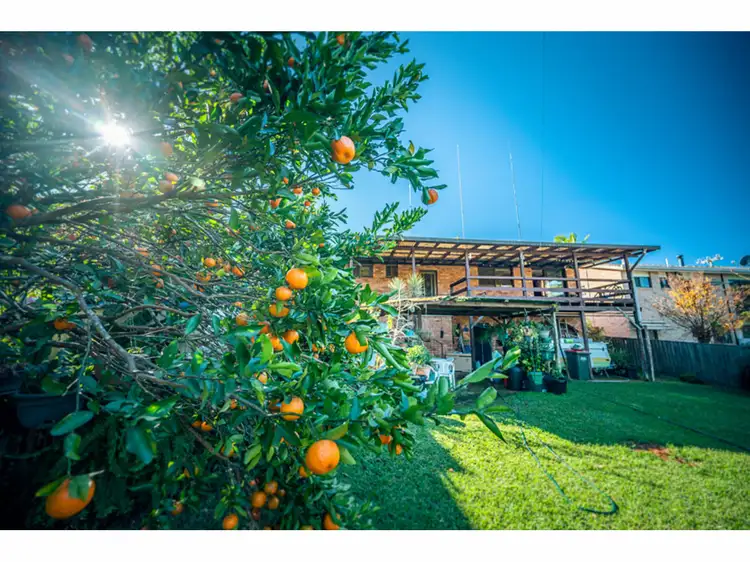 Third view of Homely house listing, 23 Crown Street, Bellingen NSW 2454