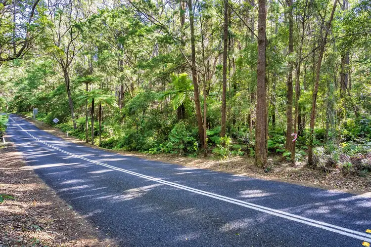 Fifth view of Homely land listing, 1938 Springbrook Road, Springbrook QLD 4213