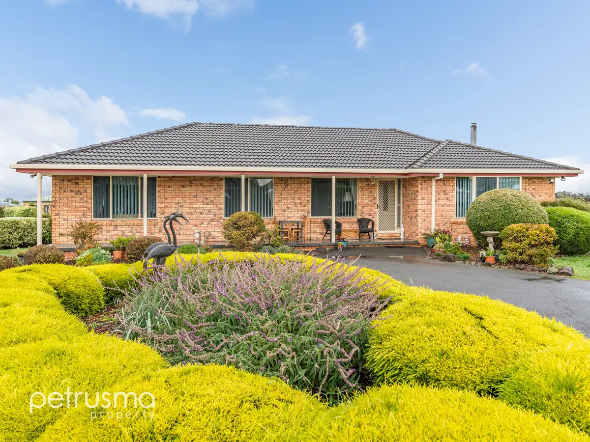 Main view of Homely house listing, 20 Henry Street, Sorell TAS 7172