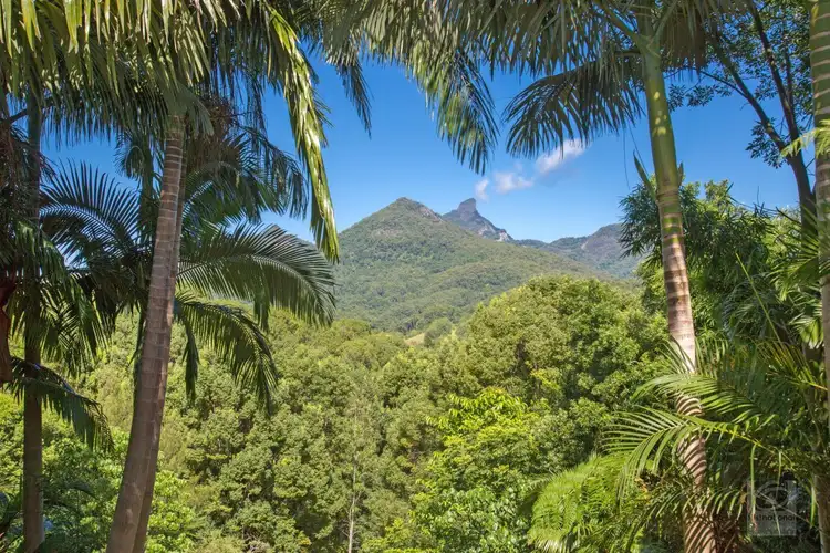 Second view of Homely rural property listing, 34 Bonnydoon Road, Uki NSW 2484