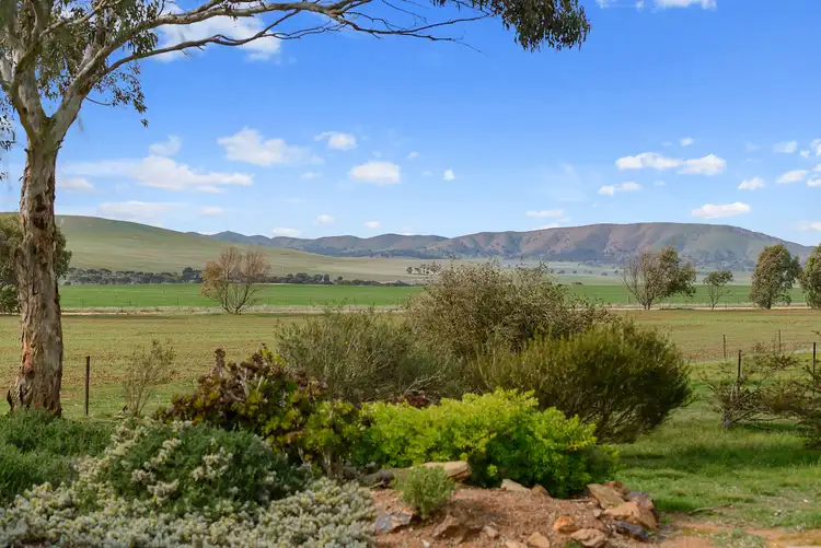 Second view of Homely house listing, 213 Petherton Road, Mount Bryan SA 5418